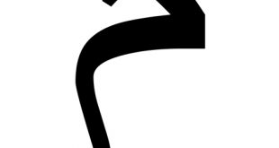 جواب جدول حرف م